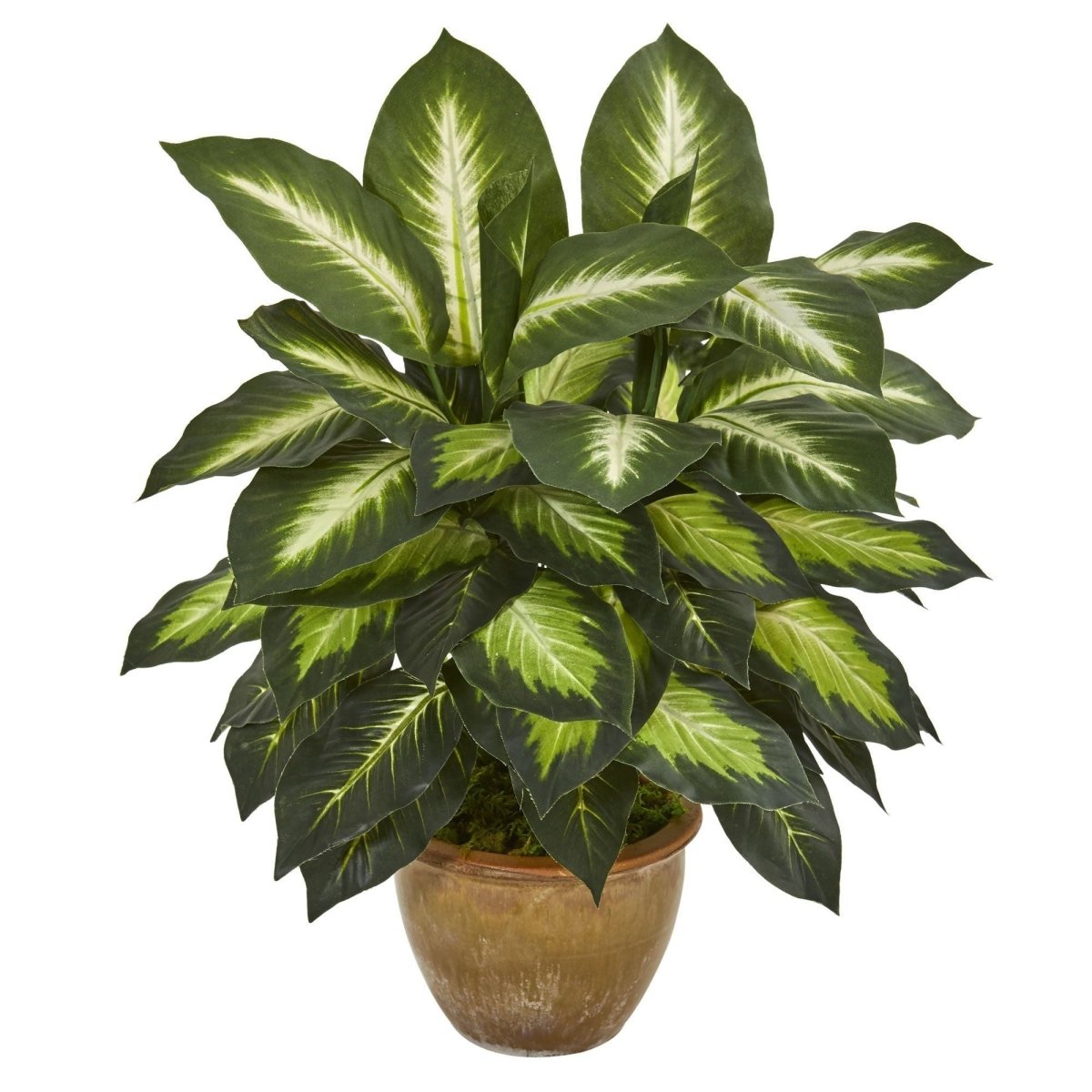 Dieffenbachia Artificial Plant in Ceramic Planter - Ed's Plant Shop