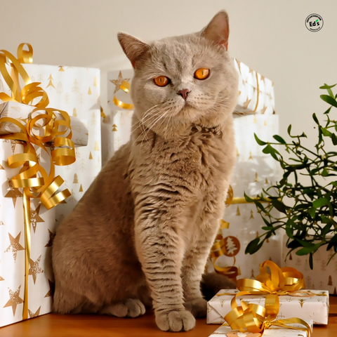 Cat-Safe houseplants