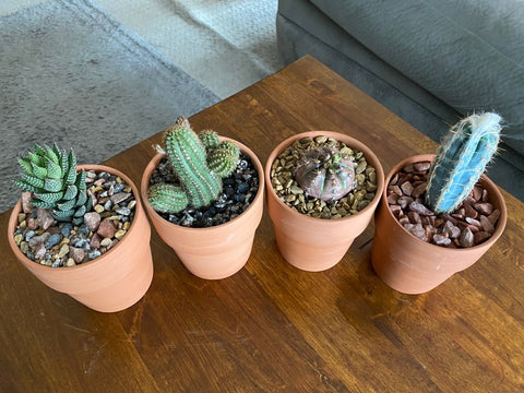 Sedona Red Rocks For Sale
