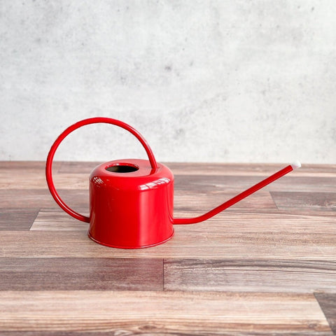 Watering Can With narrow Spout