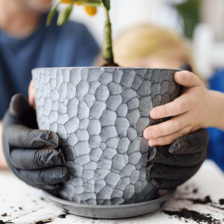 7 Plants To Honor Dad This Father's Day - Ed's Plant Shop