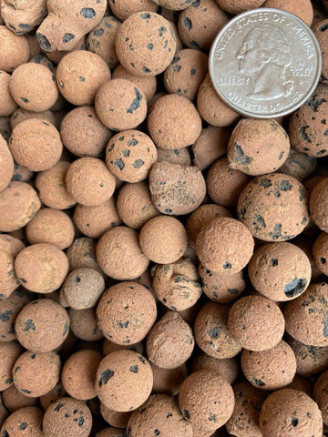 LECA Balls - Ed's Plant Shop