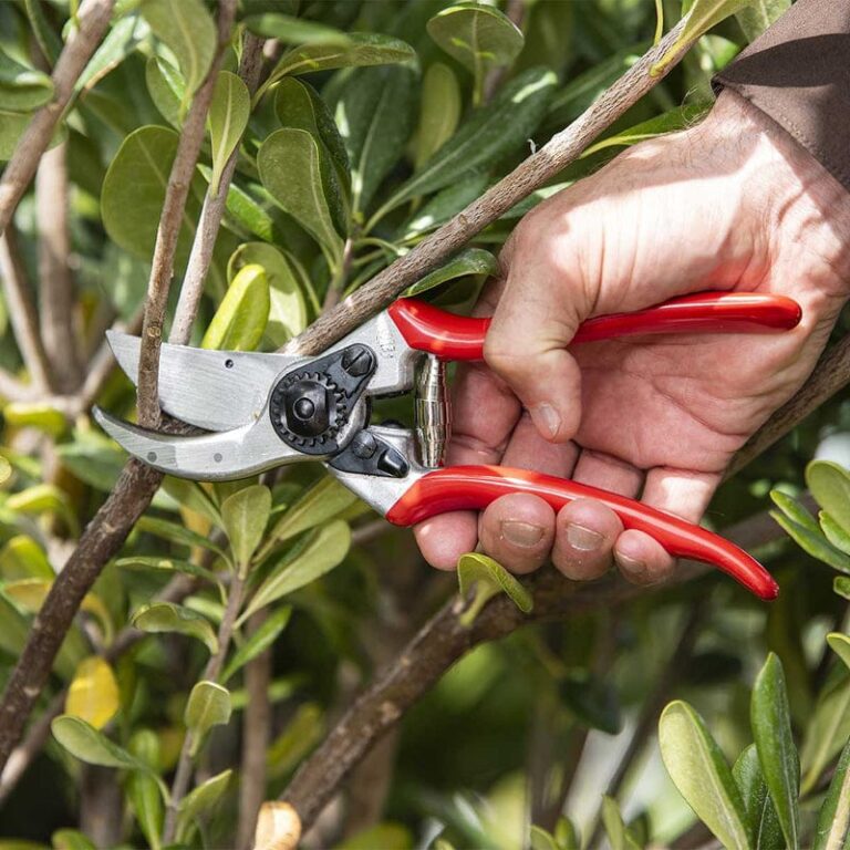 Felco 2 Pruners - Ed's Plant Shop