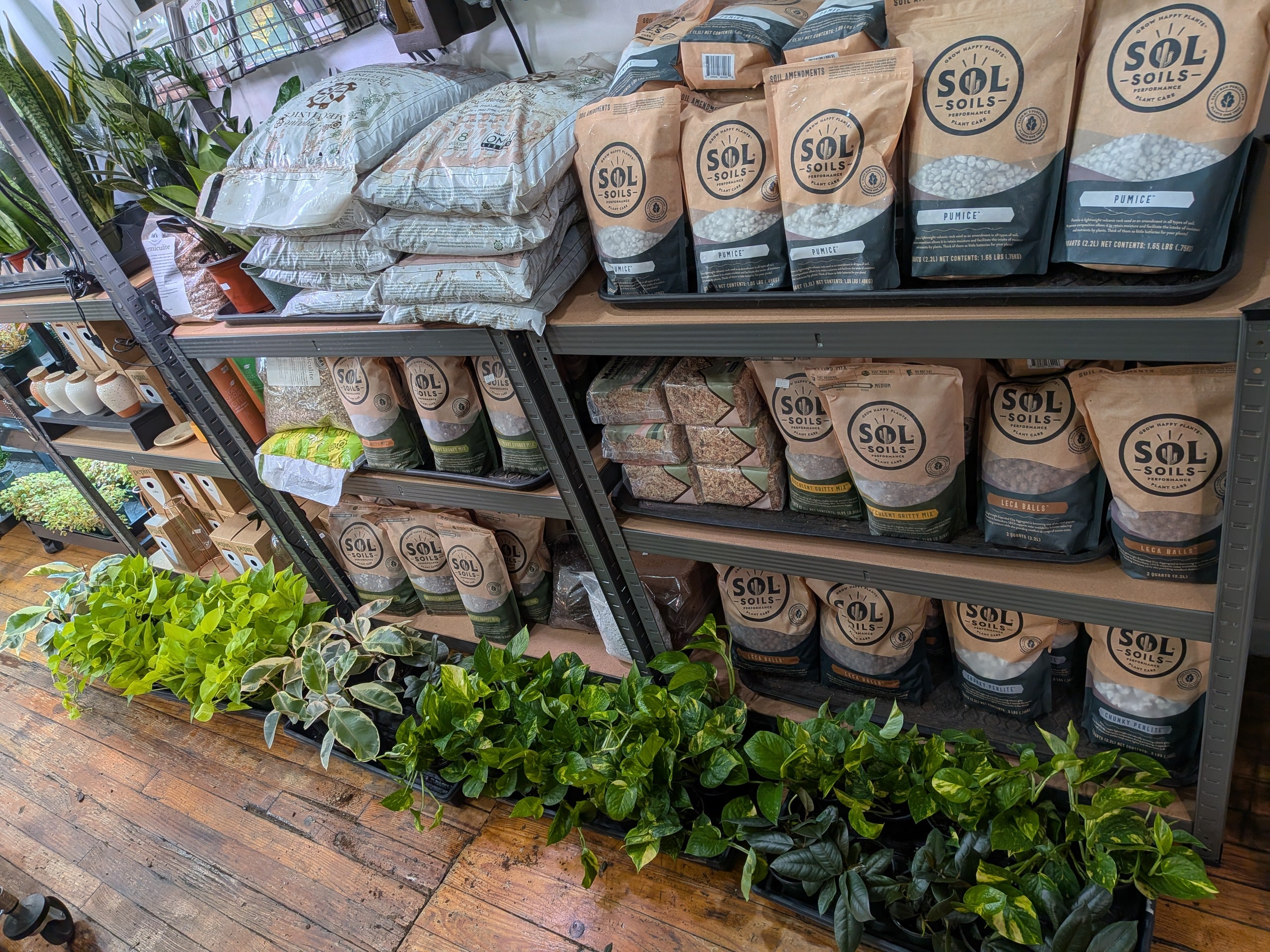 Sol Soils collection at Ed’s Plant Shop featuring premium potting mixes, soil toppers, and soil amendments