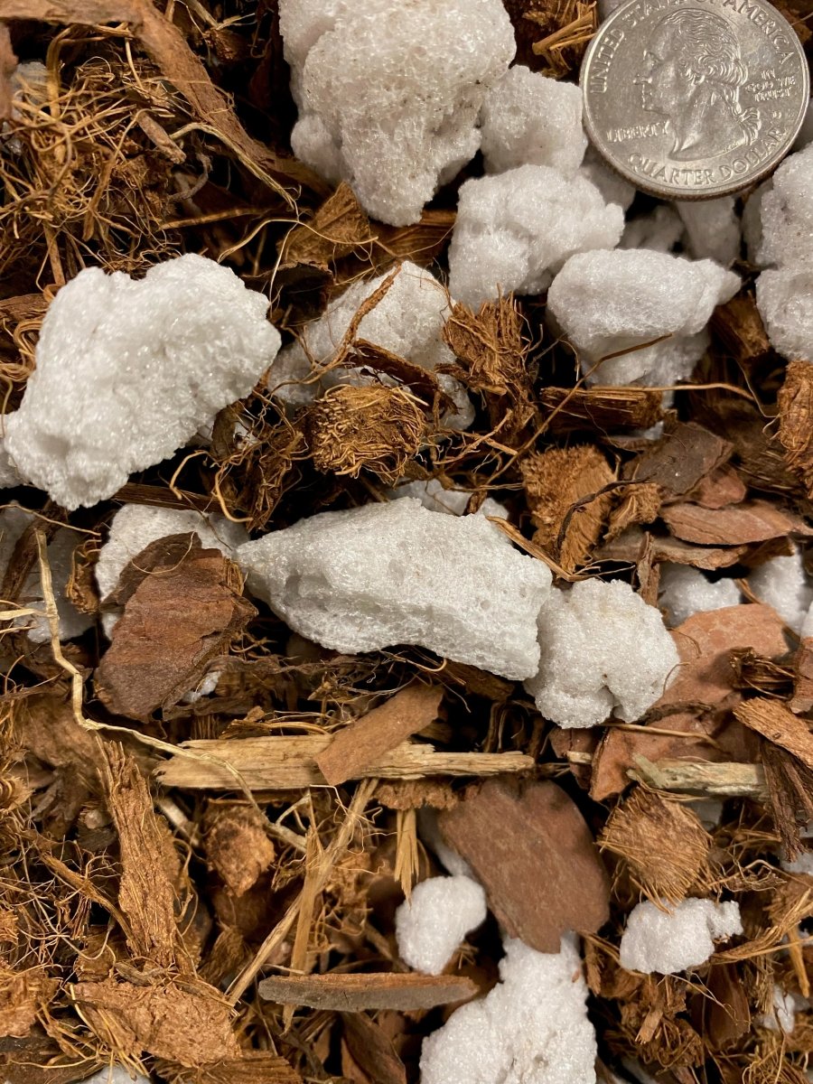 Orchid Chunky Mix by Sol Soils, a lightweight bark-style potting mix that supports airflow and healthy orchid roots