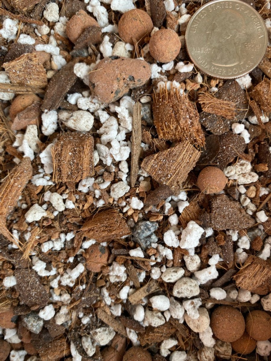 Succulent Gritty Mix by Sol Soils, a fast-draining potting mix designed for succulents and dry-weather plants