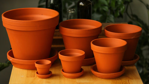 Terra cotta pots in varying styles