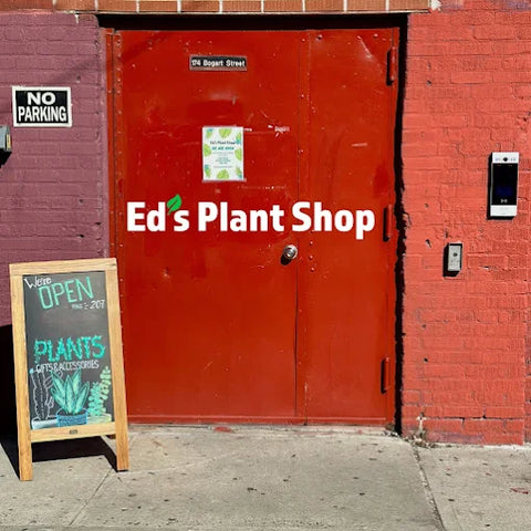 The red entry door for Ed’s Plant Shop at 174 Bogart Street